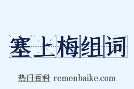 塞上梅组词是什么意思的图片